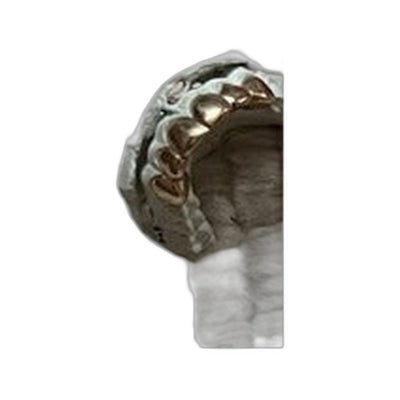 Julian's Gold Grill (2013)